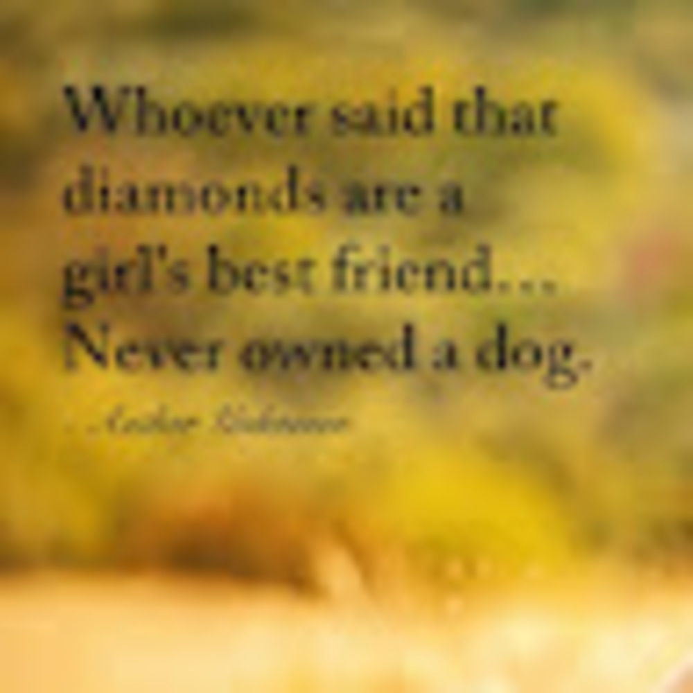 Meet your Posher, Dakota